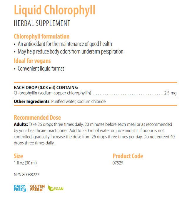 Liquid Chlorophyll 30ml(1fl.oz) by GenestraSE7525